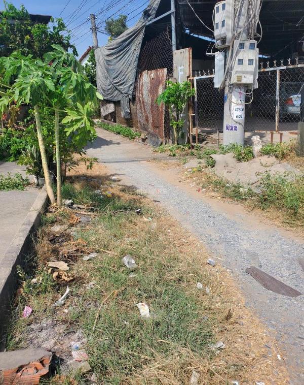 Đất thổ 100m2 xã tân lân 🏤 giá rẻ đầu tư 450tr bán gấp