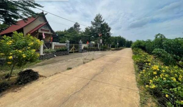 🔥 ĐẤT 🏦 ĐẸP 5x20 FULL THỔ CƯ – SỔ RIÊNG – GIÁ CỰC TỐT TẠI TÂN HIỆP 🔥