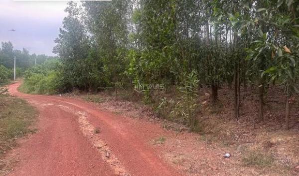 Cần bán Khác 18500m²