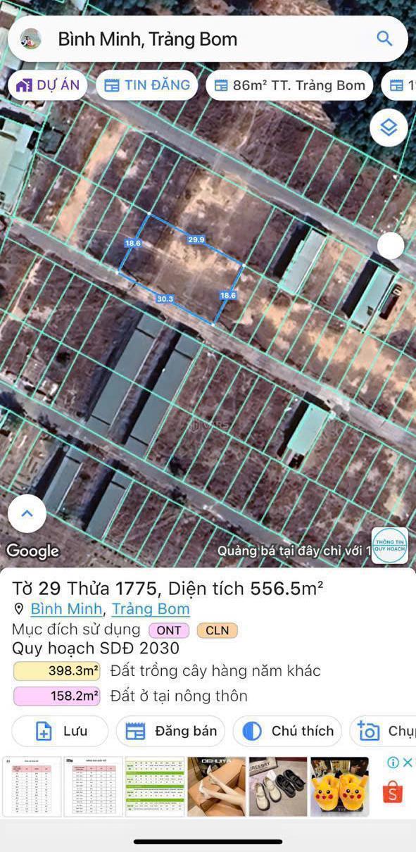 Đất đối diện trường tiểu học khu tái định cư bình 🏣 minh, tb 556m2 sổ riêng thổ cư