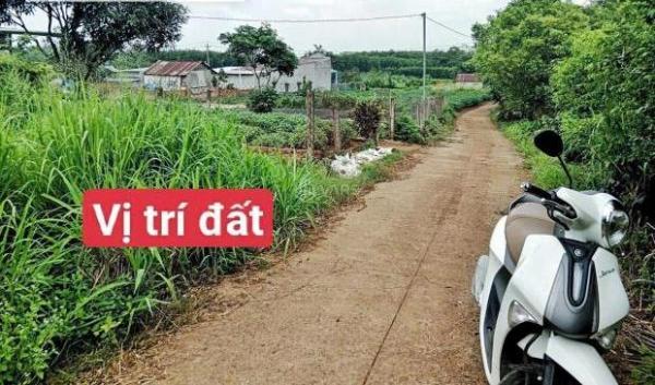 Chủ cần bán Khác 1000m²