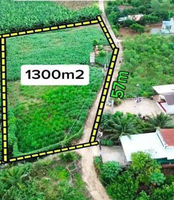 bán 1300m đất cây lâu năm .xã 🏦 tây hòa ,trảng bom giá 1 tỷ 250