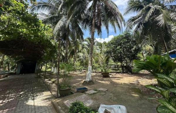 Bán nhà ☘ vườn 3200m2 đất mặt tiền lộ nhựa phú hưng