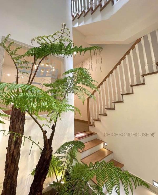 Cần bán căn homestay - khách sạn- 🏤 quán cafe toạ lạc mặt tiền đường đoàn thị điểm