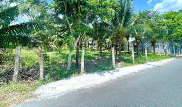Chủ cần bán Đất nền riêng lẻ 96m²