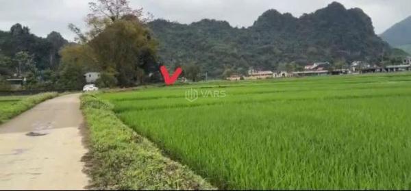 CẦN BÁN CHO GIA ĐÌNH ÍT ĐẤT Ở ☘ ĐỂ CẦN CÔNG VIỆC GIÁ 5XXTR CÁCH HN 55KM