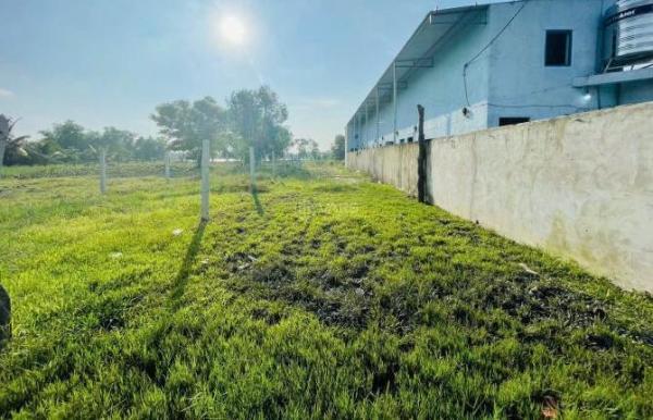 Ket Tiền bán nhanh 150m2 👍 Đất Thổ Cư Sổ Hồng Riêng xã Mỹ Hạnh Nam - Giáp TP HCM