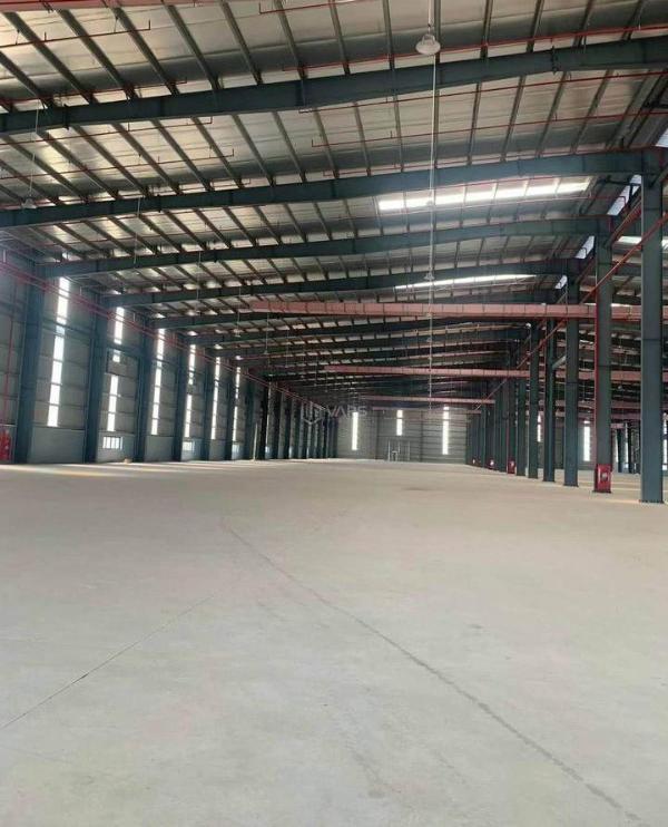 Cần cho thuê Nhà xưởng, nhà kho 5000m²