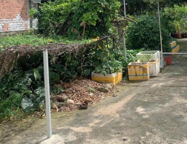 ⭐️⭐️ giảm 150tr đất vuông hẻm xe 🏦 tải tránh 120m2 thạnh xuân 25 q12