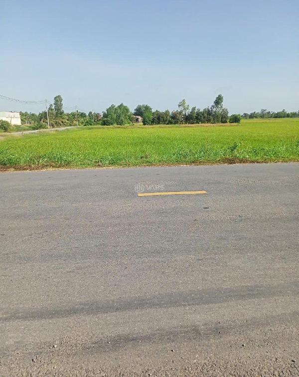Bán đất mặt tiền tl 823, 🏚️ 2000m2 skc, xã hòa khánh tây, đức hòa, long an. giá bá