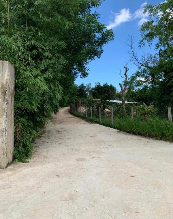 Dãy phân lô f0 khu dân cư dạ lê, giá chỉ từ 5xx. bất động sản huế giá 🏤 tốt