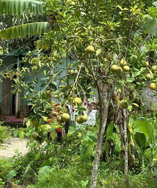 Cần bán Đất nền riêng lẻ 48000m²