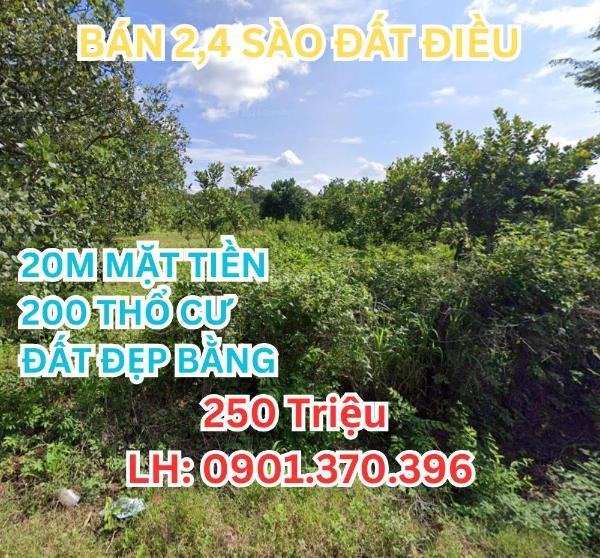 Bán đất 🏚️ 2.450m² 200m² thổ cư tân hưng, bình phước giá rẻ 250tr