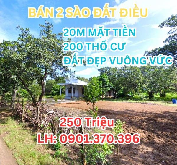 <mark style="background-color: transparent; font-weight: 400; ">Bán gấp đất 🏚️ 2.450m² ngân hàng định giá 300tr chỉ 250tr</mark>