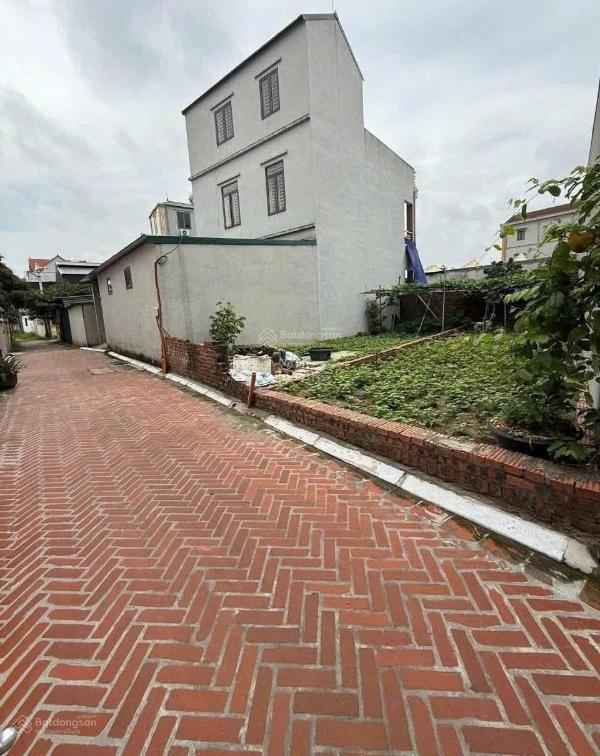 Bán đất lại đà xã 🏣 đông anh làng văn hoá quê bác trọng sát vin cổ loa
