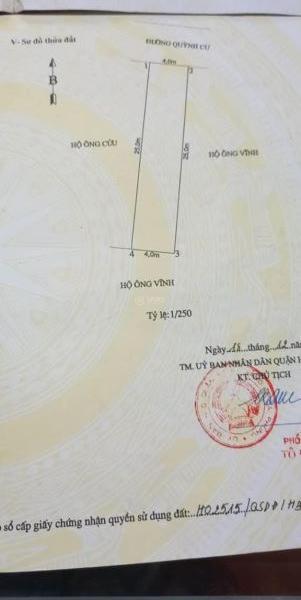 💥💥💥Hot. Hot. 🆘 Hot. Hàng hiếm 100m mặt đường Quỳnh Cư chỉ 2,x tỷ