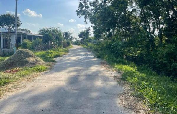 ✳️ BÁN ĐẤT 🏚️ VƯỜN THANH LONG TẠI XÃ HÀM MỸ - TỈNH BÌNH THUẬN