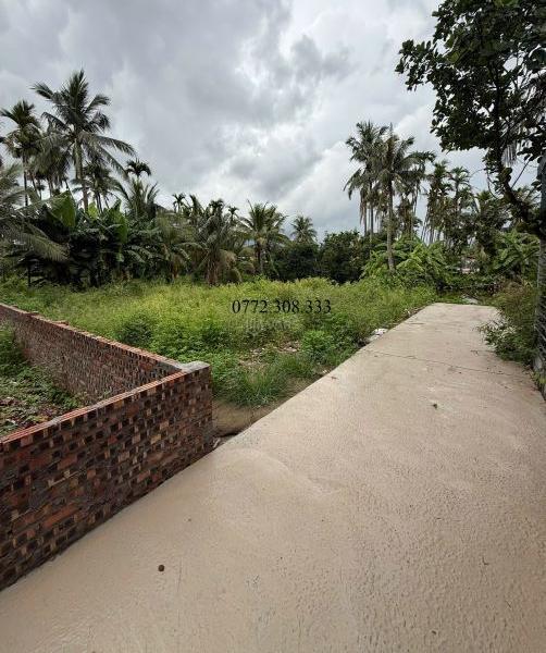 Bán Đất nền riêng lẻ 100m²