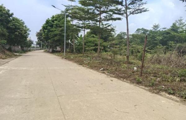 Cần bán 2.240 m tại huyện Trạch 🏤 rất phù hợp để phân lô nghỉ dưỡng giá 5.x triệu /mét