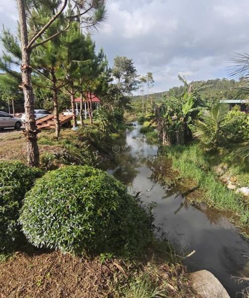 Đất nền Bảo Lâm cách nút 🏚️ ra cao tốc Bảo Lộc 20km DT 110m2 330tr