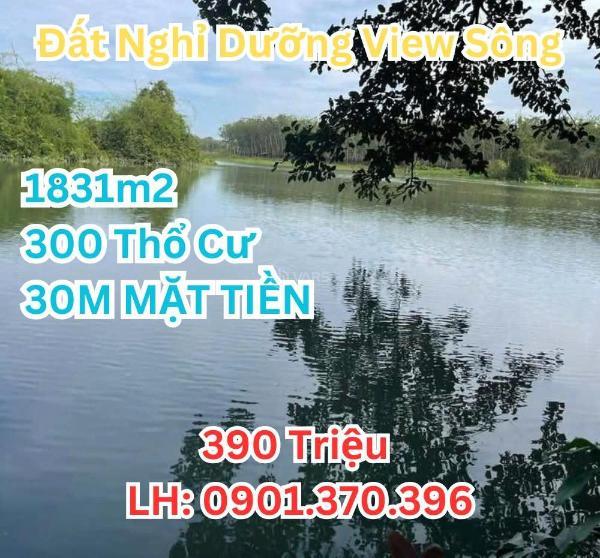 Bán gấp đất 1.831,7m² sẵn 300 thổ cư view sông 🌊 bé giá chỉ 390 triệu