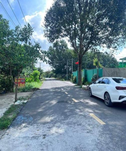 Chủ cần bán Đất nền riêng lẻ 241m²