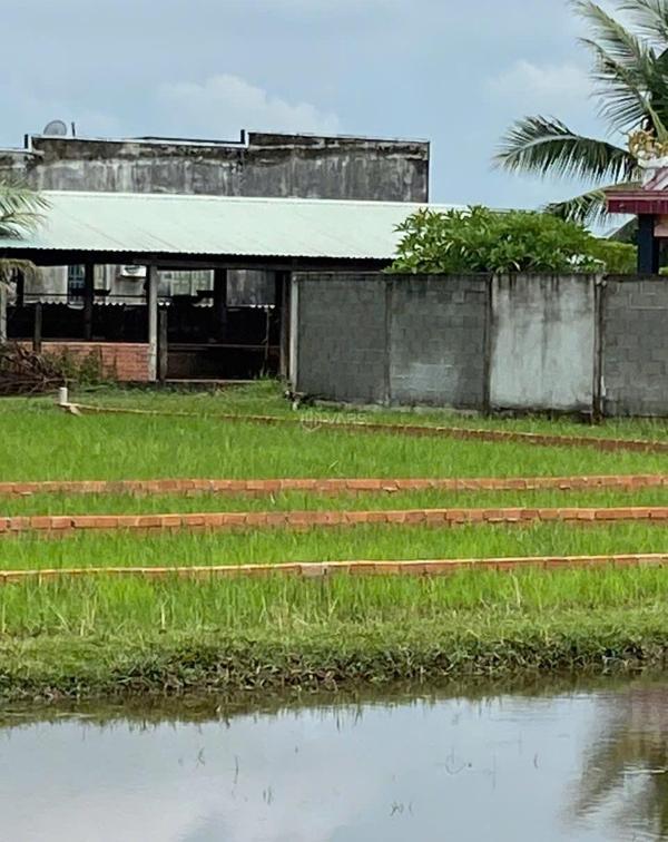 Bán Đất nền riêng lẻ 1000m²