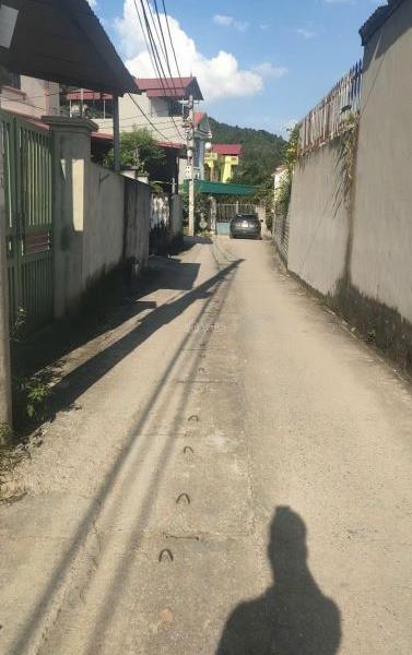 Chủ cần bán Đất nền riêng lẻ 125m²