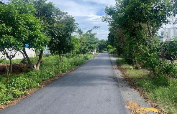 TÂN PHÚ TRUNG CỦ CHI 560 TRIỆU 105M2 FULL THỔ 🏡 SỔ RIÊNG MT NHỰA 15M LỚN