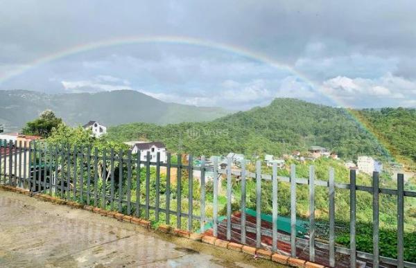 ĐẤT VIEW THÔNG XANH 🏬 SĂN MÂY ĐIỆN GIÓ CỰC ĐẸP CÁCH HỒ XUÂN HƯƠNG 3KM