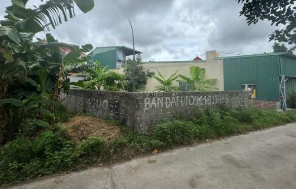 Bán lô 155m2 ngang 8m, ngõ 🏚️ thông, rộng 5m. Hoà Nghĩa, Dương Kinh.