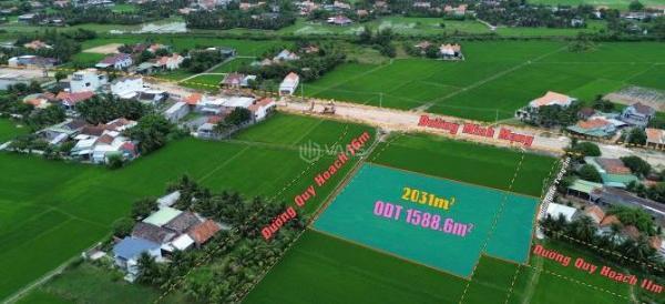 Chủ cần bán Đất nền riêng lẻ 2031m²