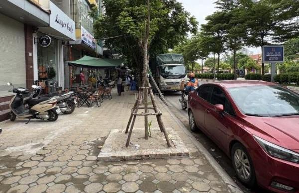 Kinh doanh đa dạng: Ngân hàng, văn phòng, trung tâm, showroom, Thẩm mỹ viện, Bệnh 🌊 viện tư,