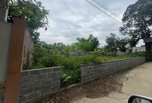 Bán Đất nền riêng lẻ 215m²