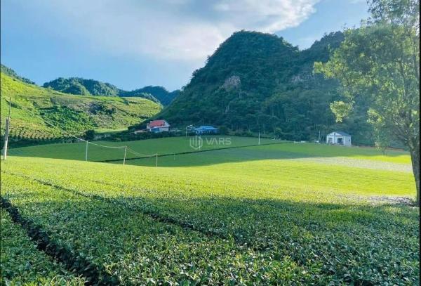 Bán Trang trại, nhà vườn 4796m²