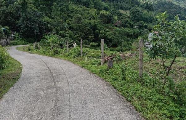 Bán Đất nền riêng lẻ 3500m²