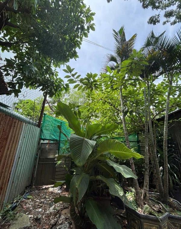Cần bán Đất nền riêng lẻ 110m²