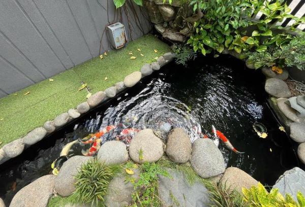 Chủ cần bán Nhà mặt phố 250m²