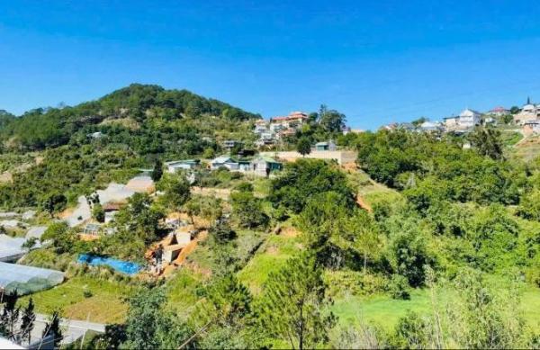 ✨🏡✨ Cần bán 🏣 gấp Đất Hẻm xe máy , đường Hoàng Hoa Thám, P.10, Đà Lạt