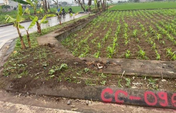 Cần bán Đất nền riêng lẻ 138m²