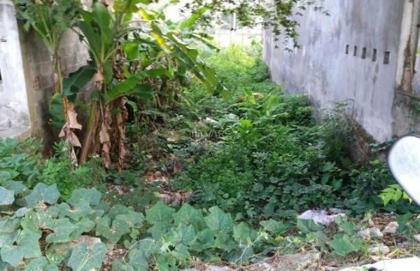 Bán đất - Phú Châu,Nở 🏘️ Hậu,đầu tư sinh lời,Vị trí đẹp,gần trường học,DT: 99 m,Giá: 1,1 tỉ