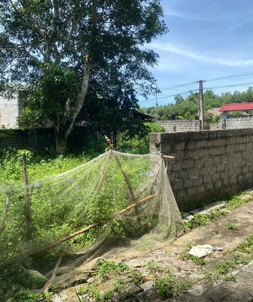 Cần bán Đất nền riêng lẻ 332m²