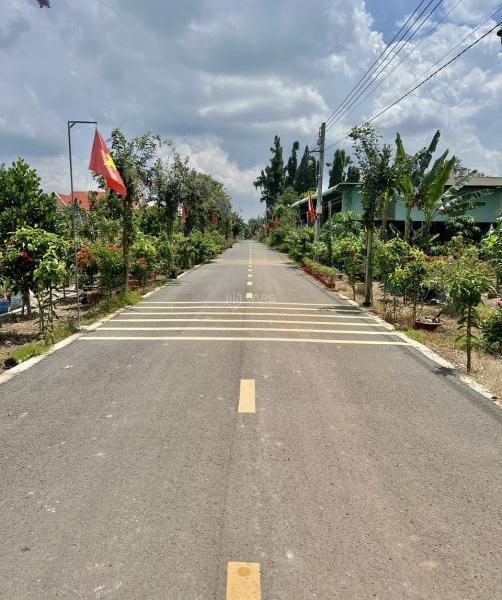 Ngộp Bán Gấp 300m2 đất Thổ Cư, Đường Nhựa, 🏬 có đèn đường, Giá 650 triệu, bao sổ