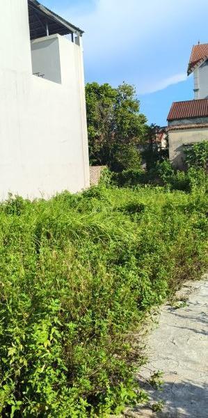 Cần bán Đất nền riêng lẻ 73m²