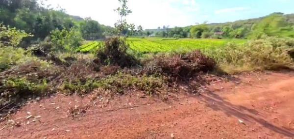 Chủ cần bán Khác 1085m²