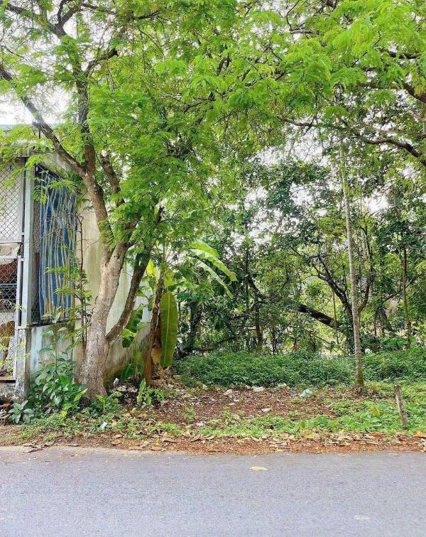 Bán 🏚️ đất 56 m2 mặt tiền đường đinh công chánh 1,2 tỷ