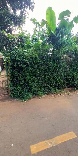 Chủ cần bán Đất nền riêng lẻ 121m²
