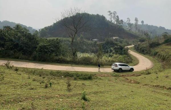 BÁN 5000M MÉT ĐẤT NGHỈ DƯỠNG CAO PHONG HÒA BÌNH GIÁ CỰC 💥 ĐẦU TƯ
