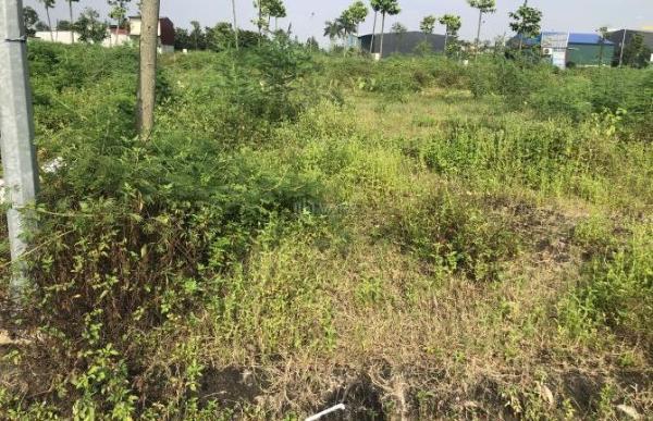 Bán Lô Dự Án Vạn Xuân Liên Yên Trung 🆘 Yên Phong Bắc Ninh