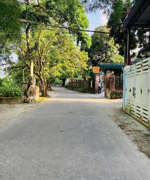 Bán Đất nền riêng lẻ 123m²
